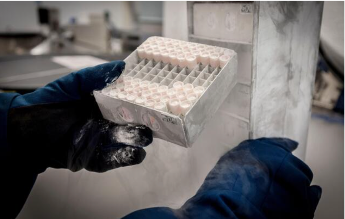 Double Waterproof - Extra Grip Elbow-Length Cryogenic Gloves.